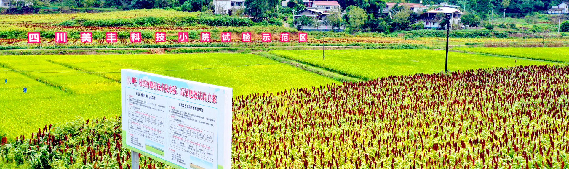 現(xiàn)代農業(yè)產業(yè)